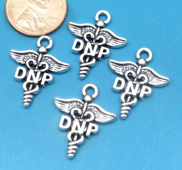 12 pc DNP charm, Doctor of Nursing Practice, DNP, Charms, wholesale charm, alloy charm