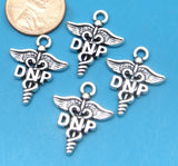 12 pc DNP charm, Doctor of Nursing Practice, DNP, Charms, wholesale charm, alloy charm