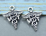 12 pc VT charm, VT, Vet Tech, Veterinarian Technician, VT Charms, wholesale charm, alloy charm