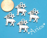 12 pc Aries charm, ram, astrological charm, zodiac, alloy charm 20mm very high quality..Perfect for jewery making and other DIY projects
