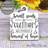 Small seeds of gratitude, gratitude charm, Steel charm 20mm very high quality..Perfect for DIY projects